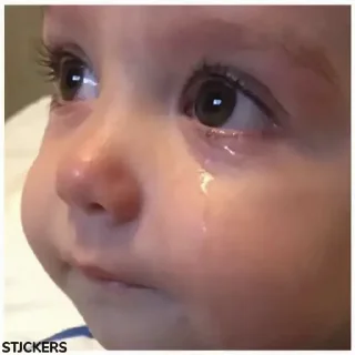 Video sticker 😭 @stjckers ممبرگروه/کانال/فالور👉🏼 @Majazinoobot