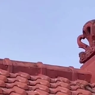 Video sticker 🌟 Больше стикеров тут: @allstickers_tg