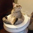 Telegram sticker 🐾 •CatsMood• @MrLedger