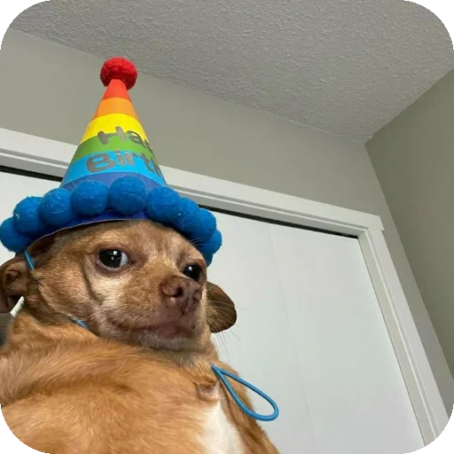 Телеграм стикер 🐱 KagaDinhos by Mister Herobrinne Gascon 🔥