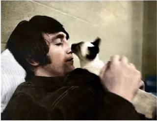 Telegram sticker 🐈 the Beatles