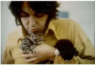 Video sticker 🐈 the Beatles
