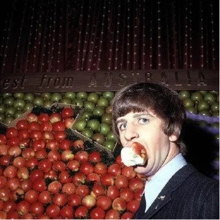 Telegram sticker 🍎 the Beatles