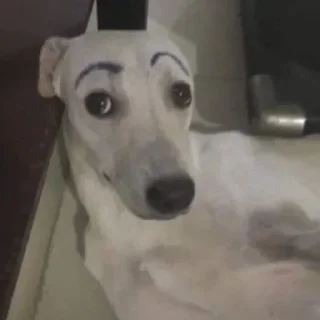 Telegram sticker 👁 @daechwta's pack