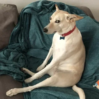 Telegram sticker 👁 @daechwta's pack