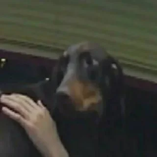 Telegram sticker 🤔 @daechwta's pack