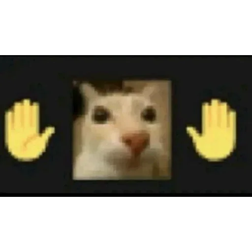 Telegram sticker ✋ Pack do perera