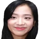 Telegram sticker 🙂 BLACKPINK