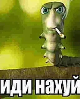 Video sticker 🌟 пиздея :: @fStikBot