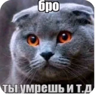 Telegram sticker 🫥 ПРОСТОФИЛЯ😣😜😕🤓😕😗🙂‍↔️😜(@SY_SHADY) ➡️ @Ctikerubot