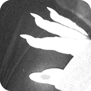 Video sticker 👍 Gp @so_sober