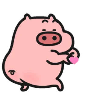 Video sticker 😊 乖巧的菜豬3 @kal_pc