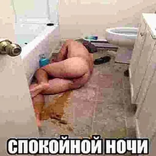 Телеграм стикер 😴 @djfkeowod