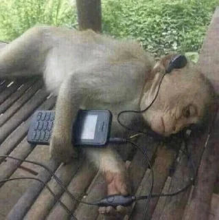 Телеграм стикер 🎧 @djfkeowod