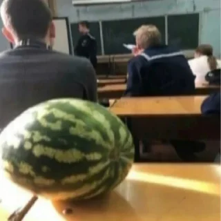 Телеграм стикер 🍉 @djfkeowod