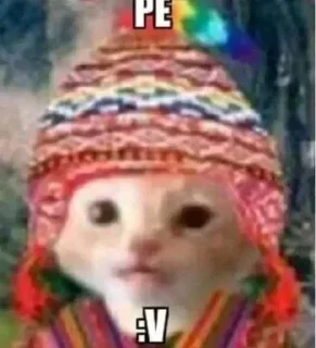 Telegram sticker 🇵🇪 Nuko good