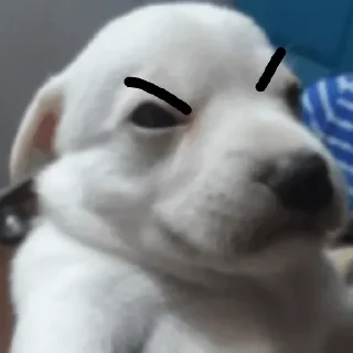 Sticker 😡 Nuko good