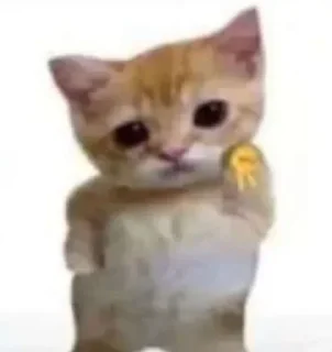 Video sticker ✌ Nuko good