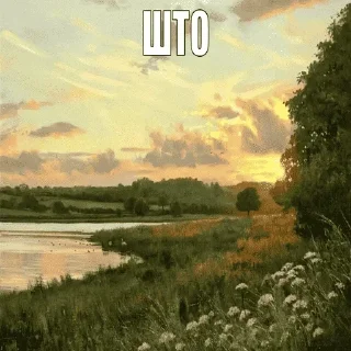 Video sticker ❓ Больше стикеров 👉🏻 @stickertg4