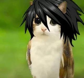 Telegram sticker 🤩 Птичкоо @MoiStikiBot