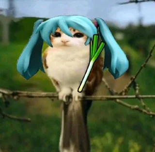 Telegram sticker 🤩 Птичкоо @MoiStikiBot