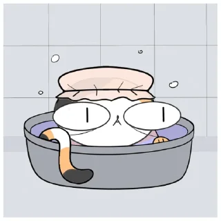 Video sticker 🧼 Кошочка @eto_krivo