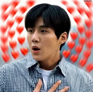 Telegram sticker 🥰 @jonafzan Kim Seon Ho 김선호 Kim Sun Ho