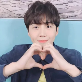 Video sticker ❤️ @jonafzan Kim Seon Ho 김선호 Kim Sun Ho