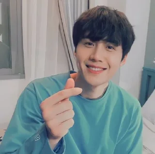 Video sticker ❤️ @jonafzan Kim Seon Ho 김선호 Kim Sun Ho
