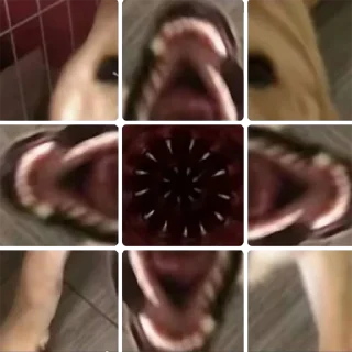 Video sticker 🤬 开荒包