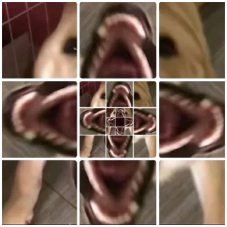Video sticker 🤬 开荒包