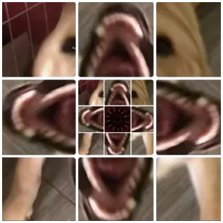 Video sticker 🤬 开荒包