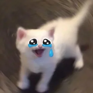 Video sticker 😭 نوره