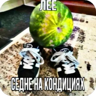 Video sticker 🫥 Сіся піся