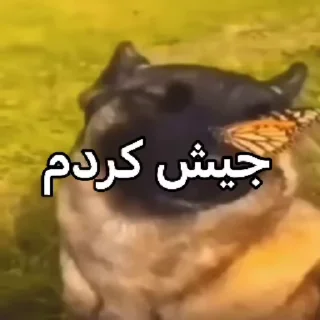 Telegram sticker 🌟 نمیدانم 3.0
@weeklyshitposting