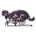Video sticker 🐶 Frisky Ferals