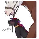 Video sticker 😘 Frisky Ferals