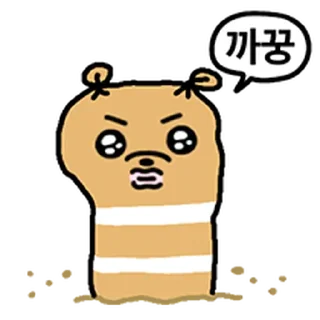 Video sticker ⭐ 바다속 복슬이들 @manbull_sticker_bot