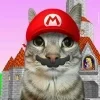 Video sticker 😜 Funni cat @koti_gray