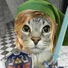 Video sticker 🗡️ Funni cat @koti_gray