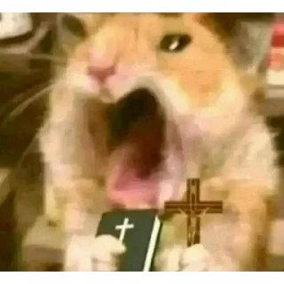 Video sticker 😁 Nigeria