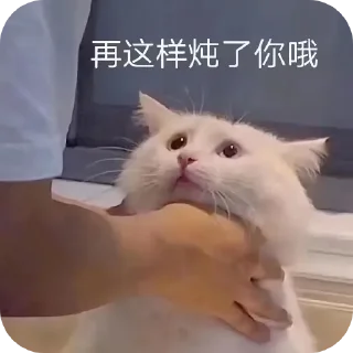 Video sticker 👍 zaochuanqiu
