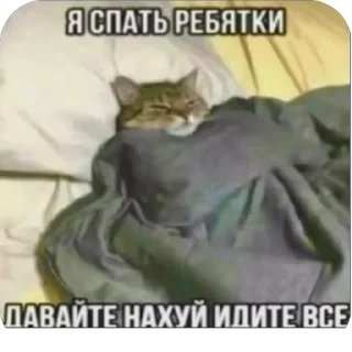 Video sticker 😴 Больше стиков тут: @stikery4