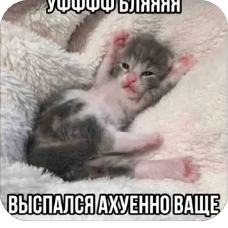 Video sticker 🥱 Больше стиков тут: @stikery4