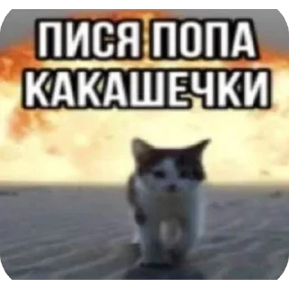 Telegram sticker 😾 Больше стиков тут: @stikery4