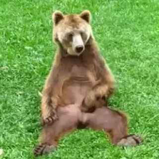 Video sticker 🥱 Больше стиков тут: @stikery4