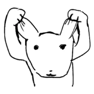 Video sticker 😊 듀.. 가나디2