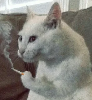 Telegram sticker 😭 Kerakli