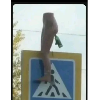 Telegram sticker 🛋 xSter