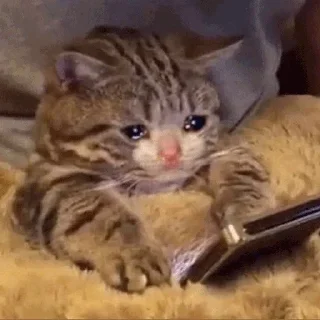 Video sticker 😢 рис создала